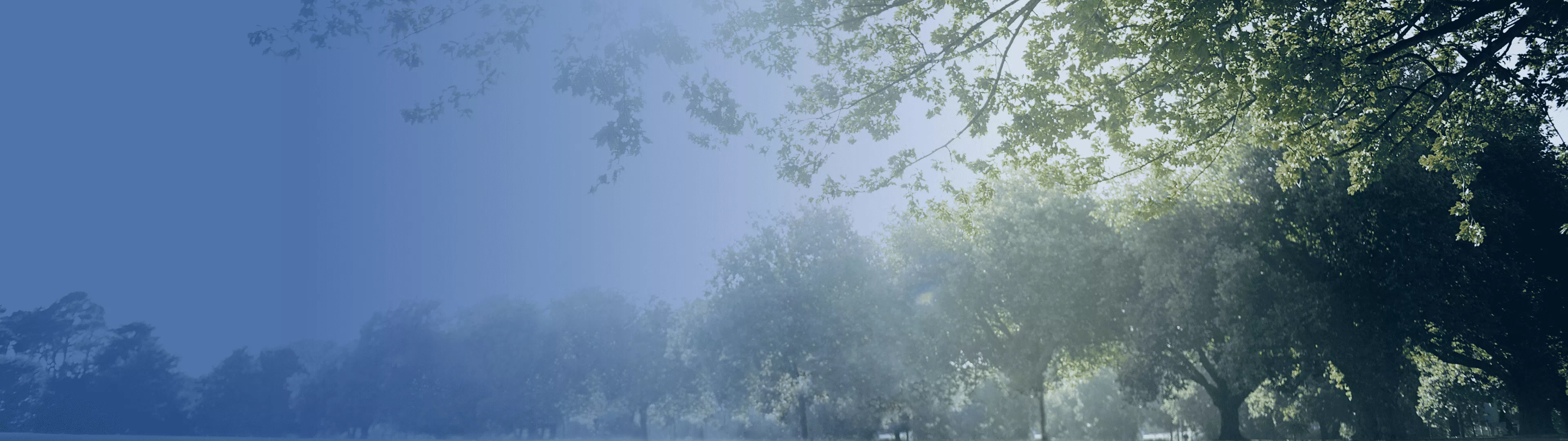 управление через turkov wi-fi